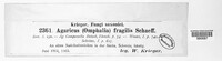 Agaricus fragilis image